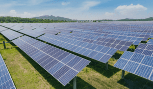 tarifs achat électricité photovoltaïque